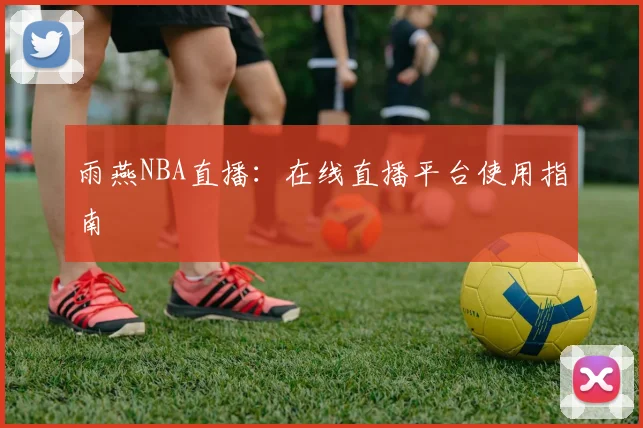 雨燕NBA直播：在线直播平台使用指南